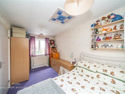 Picture 20